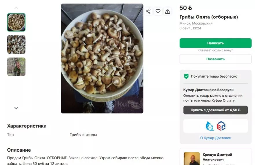 Где в Минске купить грибы и не переплатить: на рынке или по объявлениям